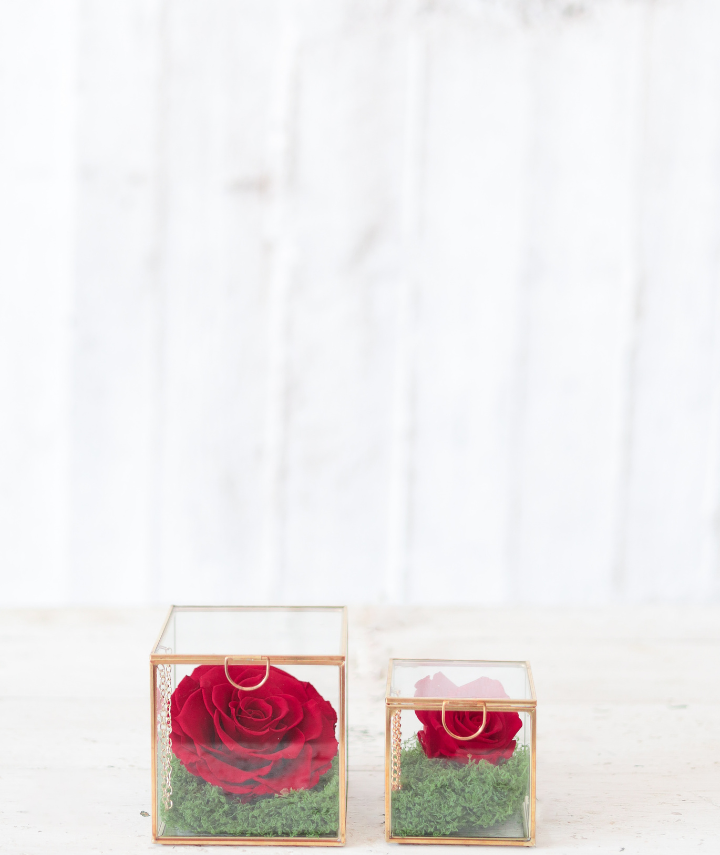Forever Glass Rose (1) Forever Glass Rose (1)