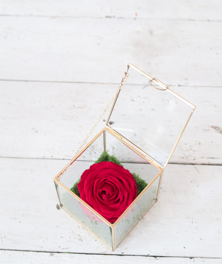 Forever Glass Rose (2) Forever Glass Rose (2)