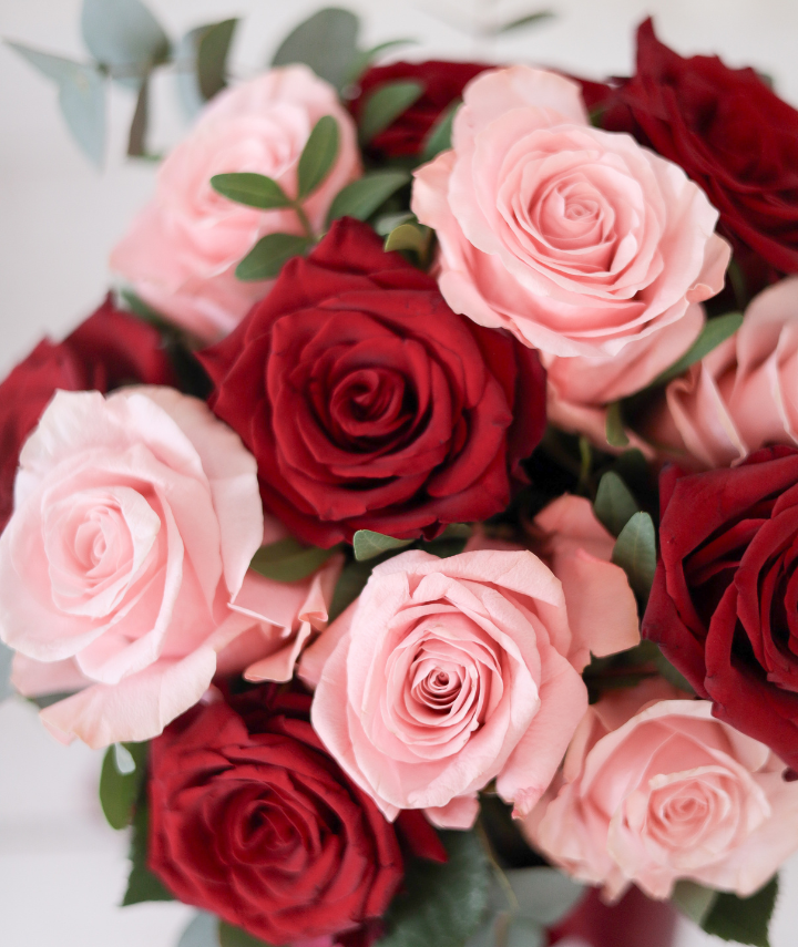 Strike a pose (1) Strike a pose (1)